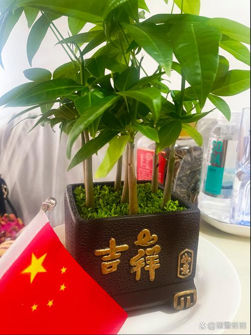 疫情时代企业商会-商会在疫情期间的总结?-第2张图片-德宏生活网 疫情时代企业商会-商会在疫情期间的总结?-第2张图片-德宏生活网