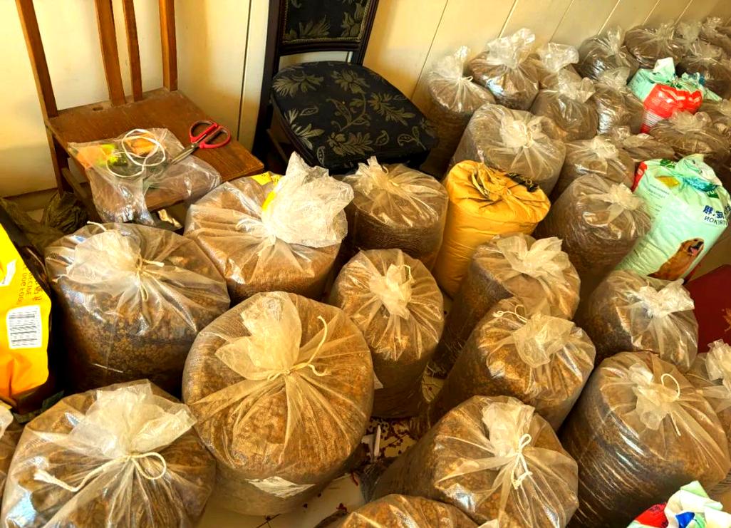 疫情影响物资费用_疫情对物资供应的影响-第4张图片-德宏生活网