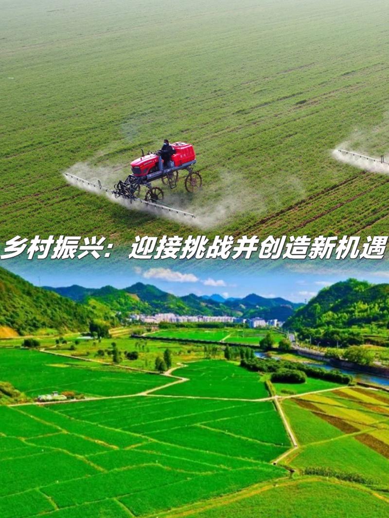 疫情过后需求高-疫情过后哪些商品的需求会增加?？-第1张图片-德宏生活网