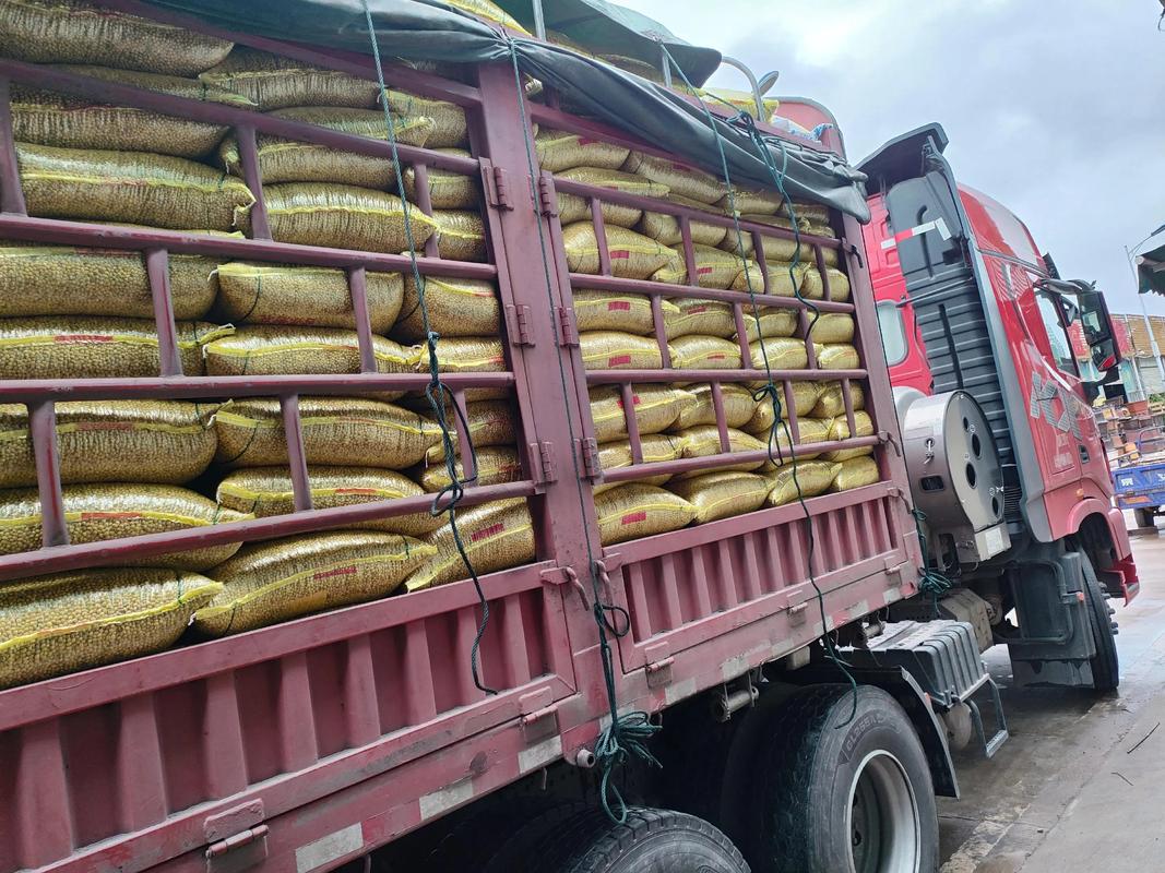 肺炎疫情200万,2020肺炎疫情确诊人数-第2张图片-德宏生活网 肺炎疫情200万,2020肺炎疫情确诊人数-第2张图片-德宏生活网