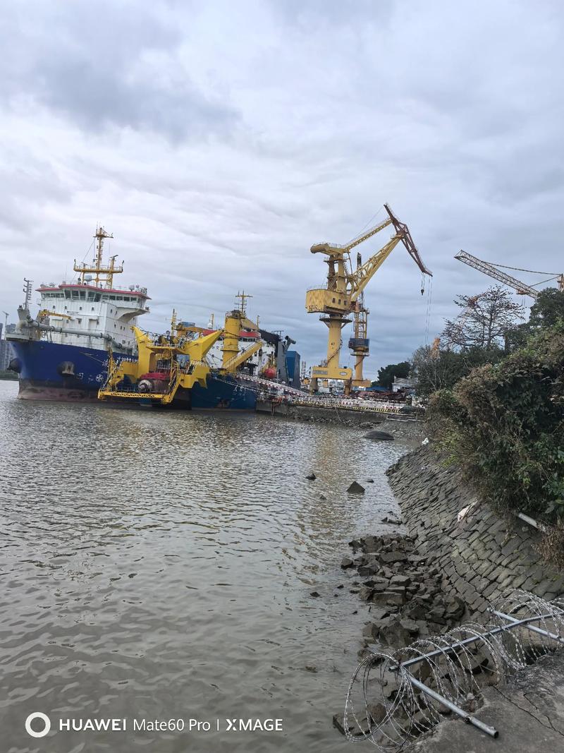 纽约和洛杉矶疫情_纽约和洛杉矶是什么关系-第4张图片-德宏生活网