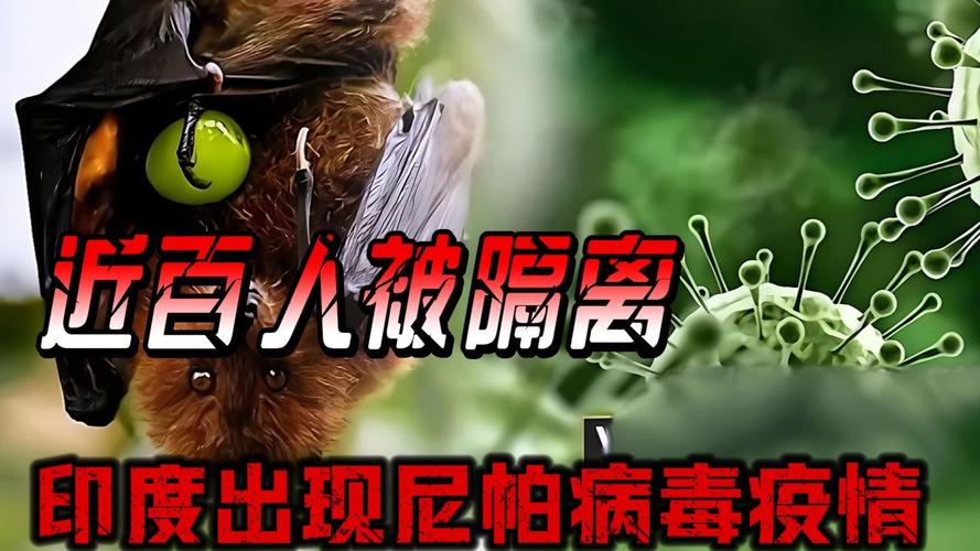 疫情要用哪个爆发，疫情要用哪个爆发形容-第2张图片-德宏生活网