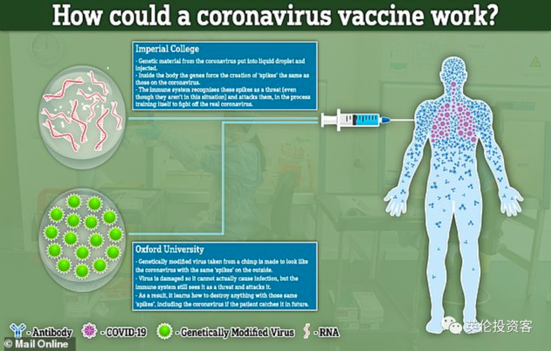 疫情的爆发原因，疫情发生的主要原因-第5张图片-德宏生活网