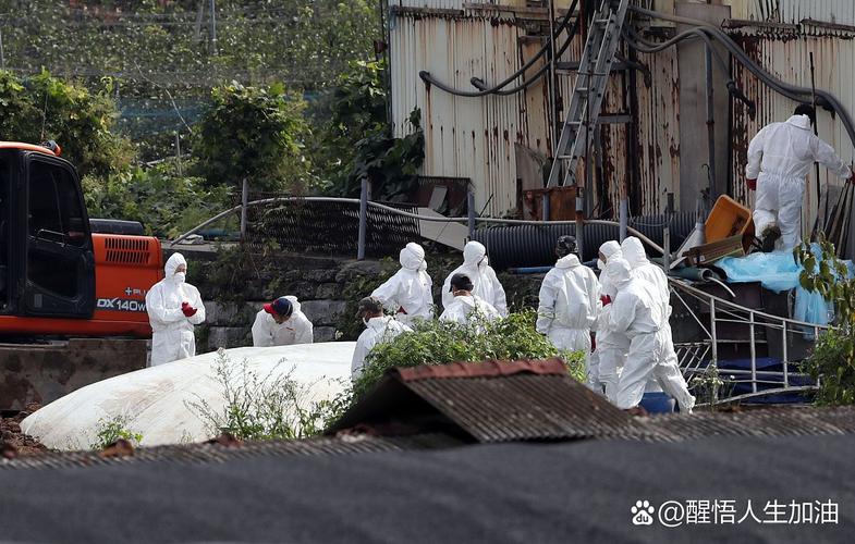 疫情患者有多少_疫情患者有多少人死亡-第4张图片-德宏生活网