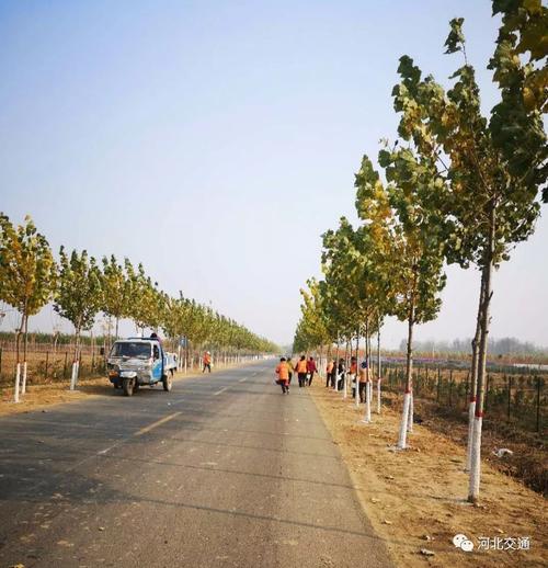 河北威县疫情情况_河北威县是疫区吗-第1张图片-德宏生活网