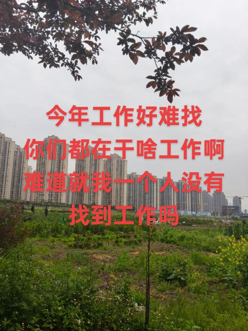 疫情后都没工作，疫情期间没工作没收入怎么办-第3张图片-德宏生活网