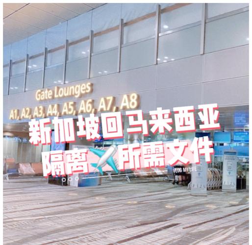 新加坡疫情没新增，新加坡疫情没新增的原因-第4张图片-德宏生活网