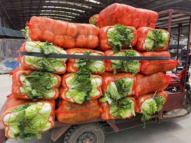 怎样向疫情捐钱_如何向疫情灾区捐款-第1张图片-德宏生活网