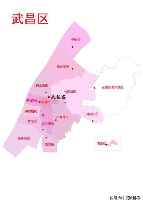 武汉外城市疫情-武汉市新增境外输入病例？-第6张图片-德宏生活网