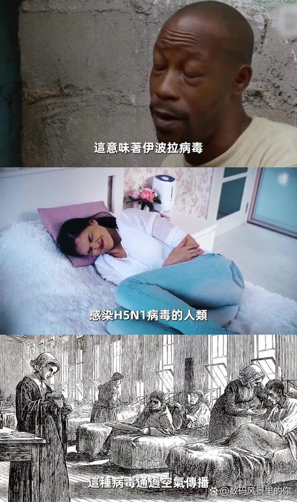 疫情病毒有几种_疫情病毒都有哪些-第3张图片-德宏生活网 疫情病毒有几种_疫情病毒都有哪些-第3张图片-德宏生活网