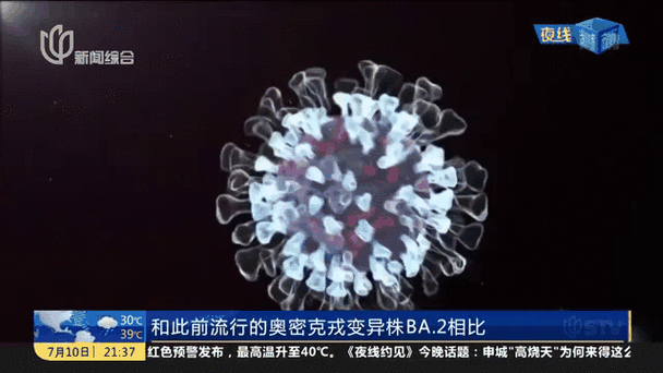 莫桑比克有疫情吗_莫桑比克的最新疫情-第3张图片-德宏生活网