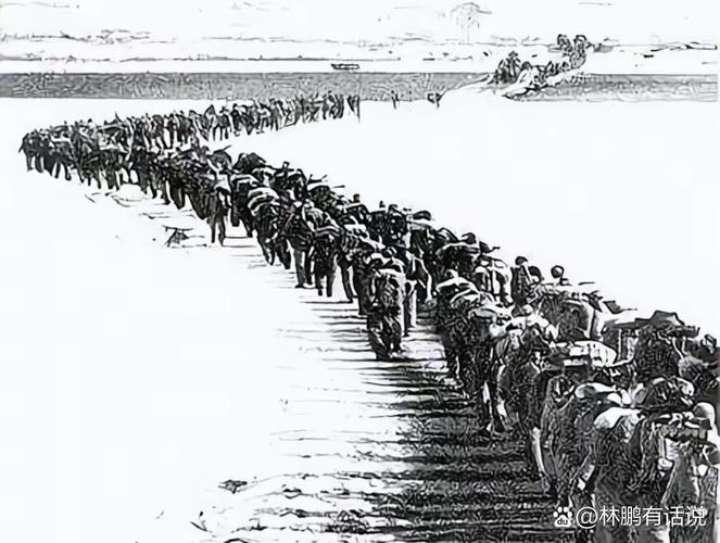 中国抗疫情历史，中国历史抗疫事件-第5张图片-德宏生活网