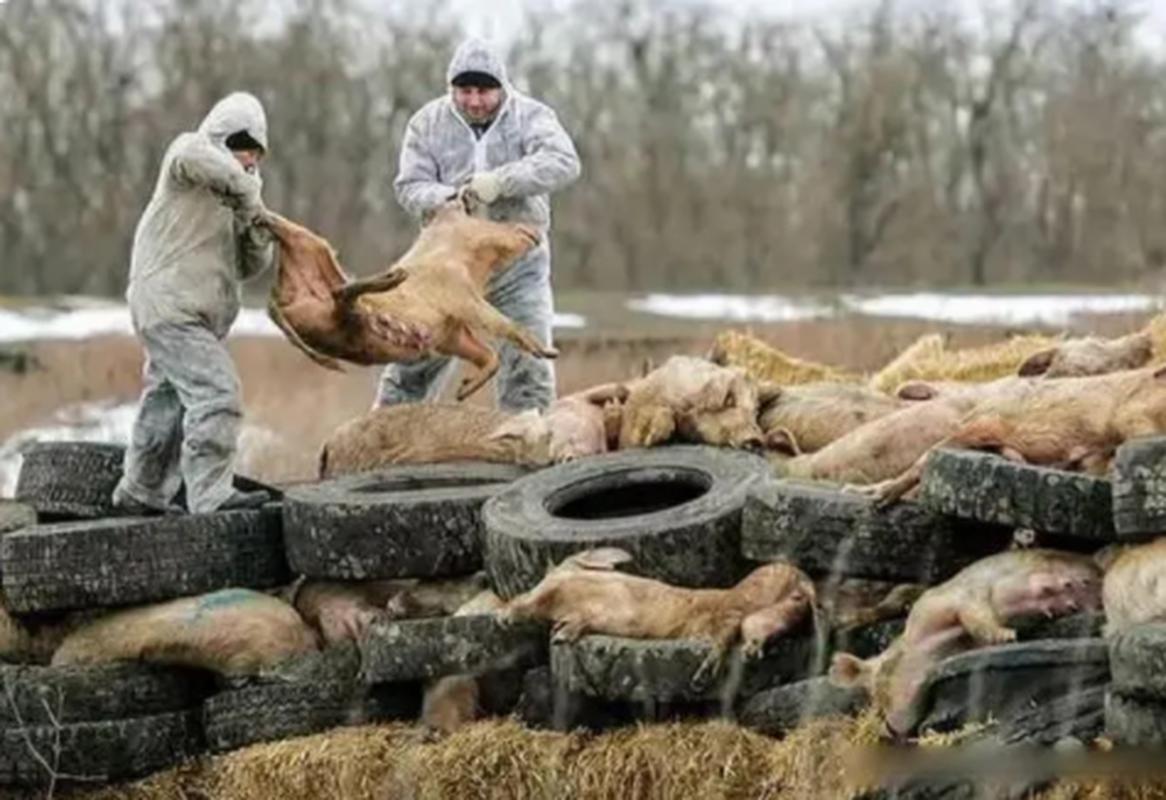 新疆疫情最新疑似，新疆疫情病例最新消息-第1张图片-德宏生活网