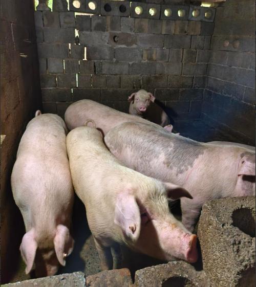 新疆疫情最新疑似，新疆疫情病例最新消息-第2张图片-德宏生活网