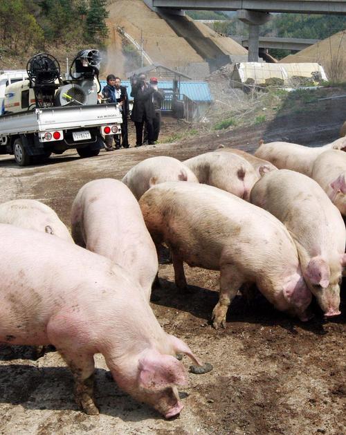 新疆疫情最新疑似，新疆疫情病例最新消息-第3张图片-德宏生活网