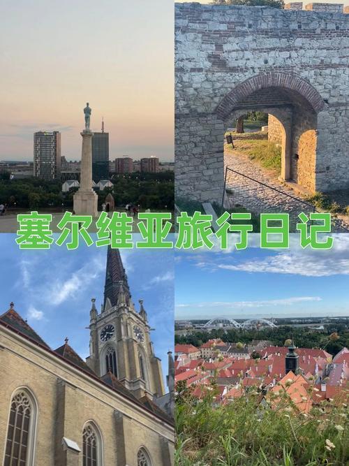 塞尔维亚疫情帮助中国-塞尔维亚对中国疫情的捐助？-第3张图片-德宏生活网