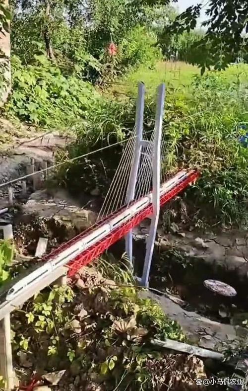 疫情无聊在家干嘛-疫情在家没意思干什么？-第1张图片-德宏生活网