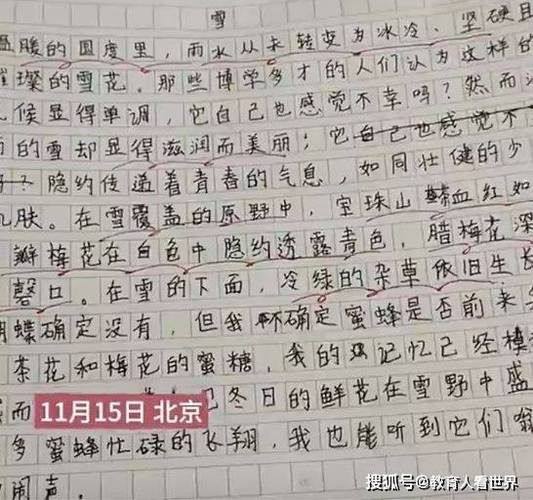 看到疫情笼罩下_疫情下我看到了-第2张图片-德宏生活网