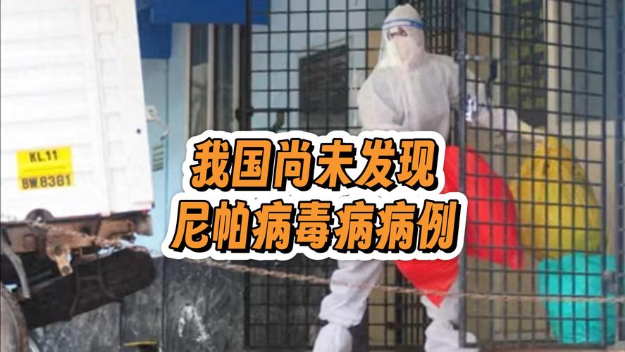 中国以外疫情情况_中国疫情境外输入最新消息-第6张图片-德宏生活网