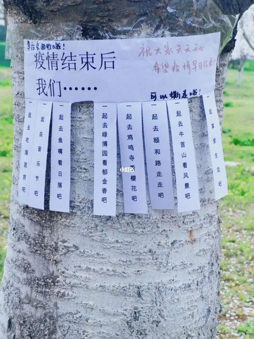 疫情过后最重要_疫情过后的-第2张图片-德宏生活网