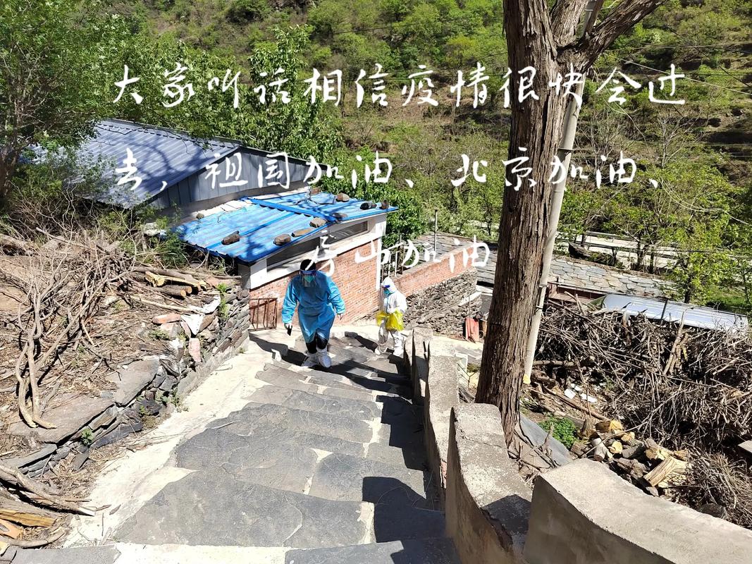 未来疫情常态化，近来疫情常态化防控-第1张图片-德宏生活网