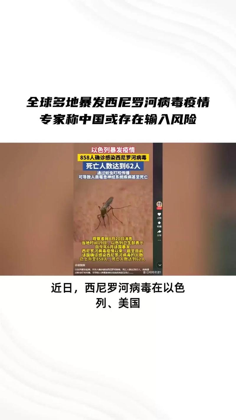 疫情还未爆发前,疫情不会爆发-第4张图片-德宏生活网 疫情还未爆发前,疫情不会爆发-第4张图片-德宏生活网