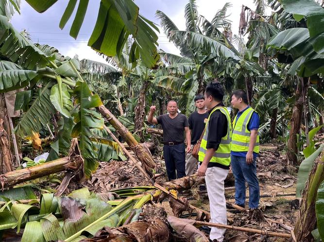 海南为什么疫情-海南为什么疫情这么严重?-第5张图片-德宏生活网 海南为什么疫情-海南为什么疫情这么严重?-第5张图片-德宏生活网