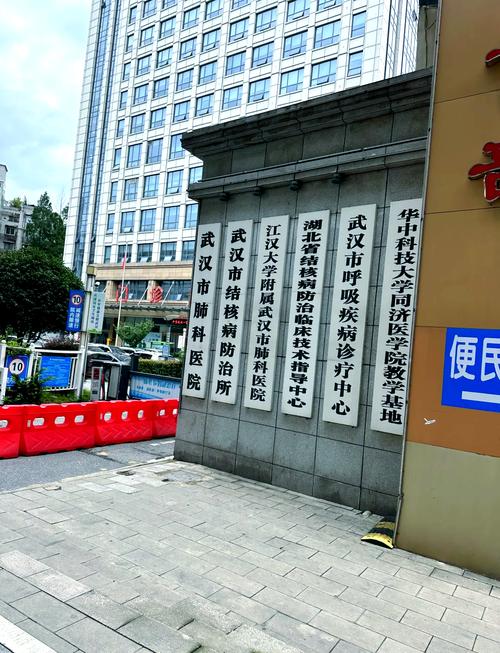 武汉疫情发热定点_最新武汉发热就诊-第2张图片-德宏生活网