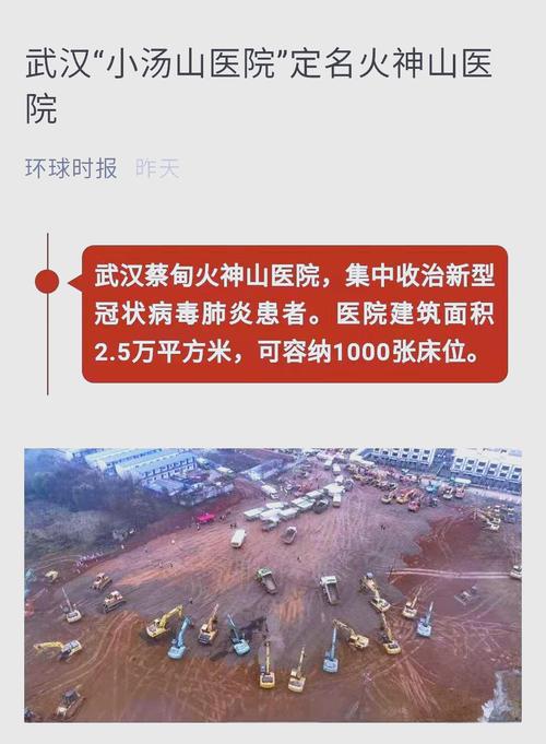 武汉疫情发热定点_最新武汉发热就诊-第5张图片-德宏生活网