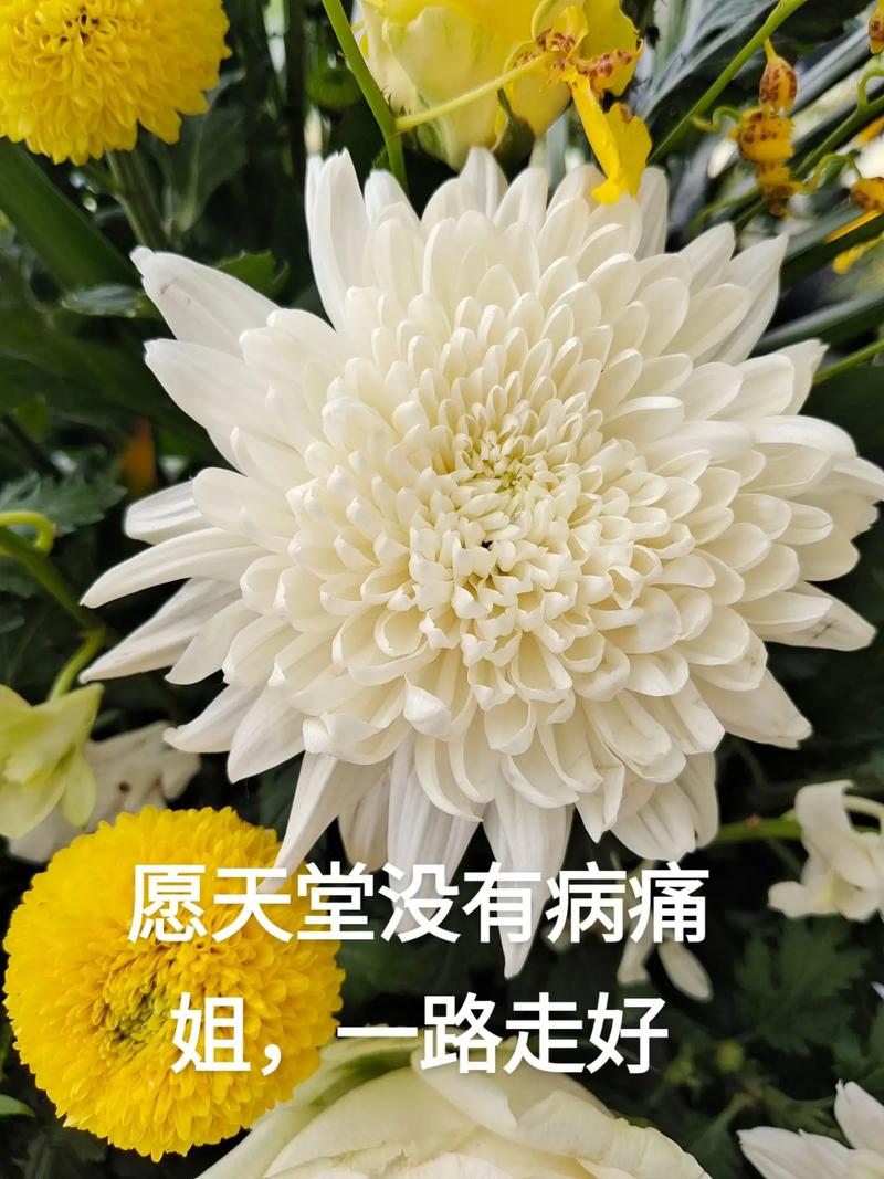 疫情下怎么哀悼-疫情期间悼念词？-第3张图片-德宏生活网