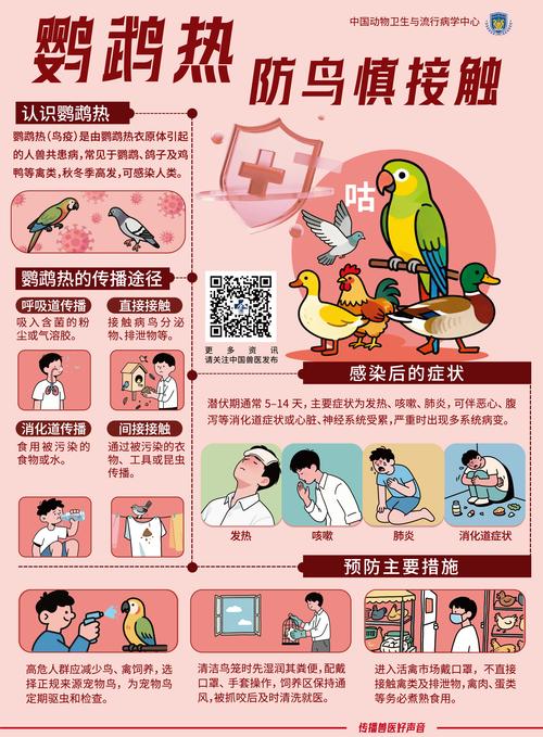 要在常态化疫情，在常态化疫情防控前提下扎实推进-第6张图片-德宏生活网