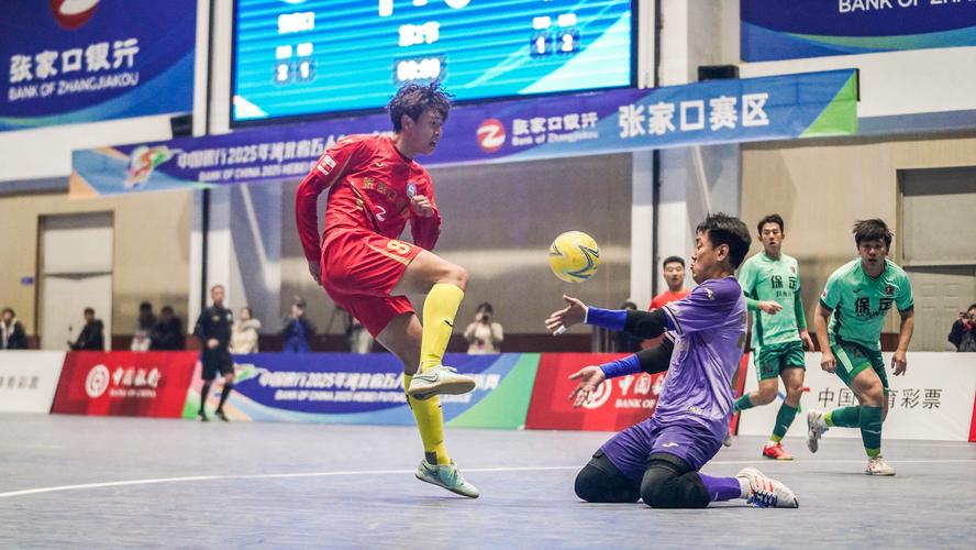 河北廊坊具体疫情，河北廊坊疫情期间是哪一年到哪一年开始的-第4张图片-德宏生活网