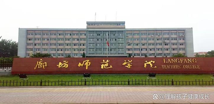 河北廊坊具体疫情，河北廊坊疫情期间是哪一年到哪一年开始的-第6张图片-德宏生活网