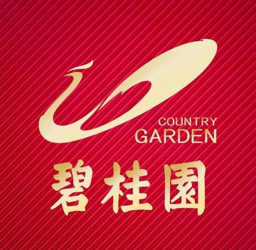 疫情捐款房产业-疫情捐款去向何方？-第5张图片-德宏生活网