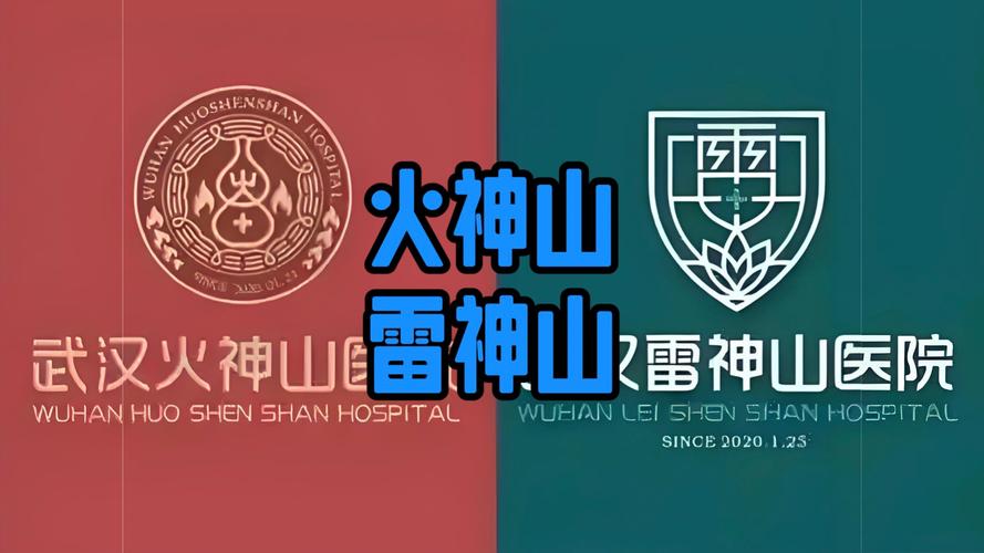 关于武汉防护疫情_关于武汉防护疫情的作文-第5张图片-德宏生活网