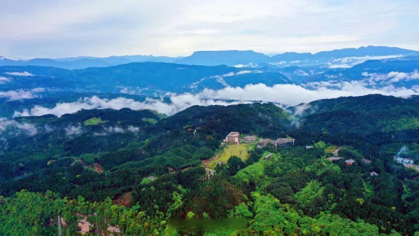 眉山31日疫情_眉山疫情实时追踪-第5张图片-德宏生活网 眉山31日疫情_眉山疫情实时追踪-第5张图片-德宏生活网