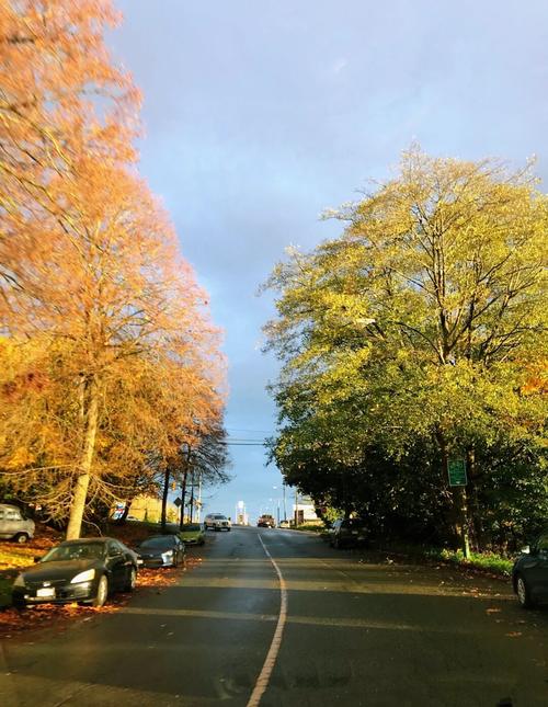 渥太华疫情情况_渥太华新冠最新消息-第2张图片-德宏生活网 渥太华疫情情况_渥太华新冠最新消息-第2张图片-德宏生活网
